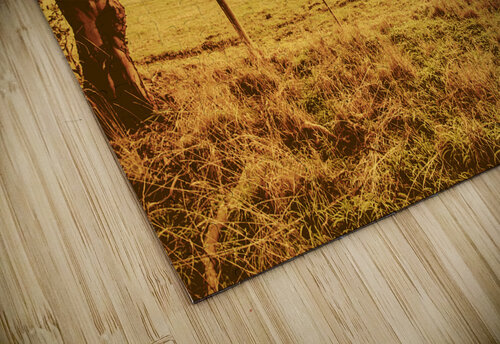 Autumn vista Jorgo puzzle