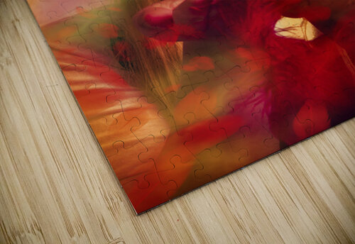 Merry christmas elf Jorgo puzzle