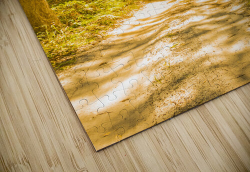 Waywoods  Jorgo puzzle