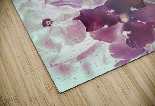 Wildflower pop  Jorgo puzzle