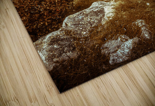 Afternoon storms Jorgo puzzle