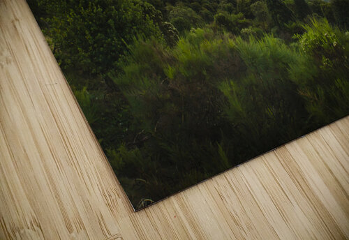 Sunrise over Mount Waratah in Tasmania Australia Jorgo puzzle