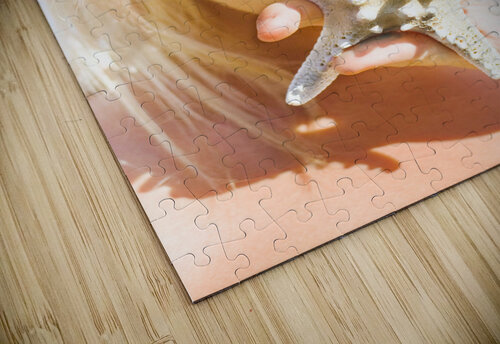 Summer Secrecy Jorgo puzzle