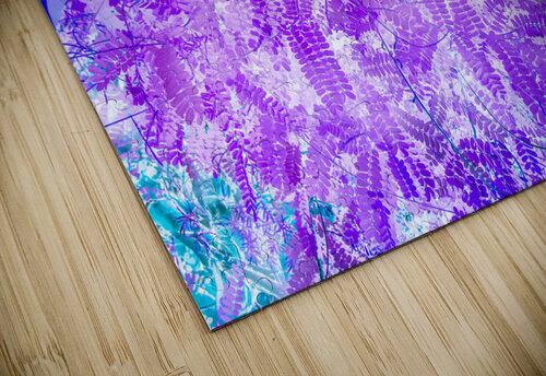 Verola  Jorgo puzzle