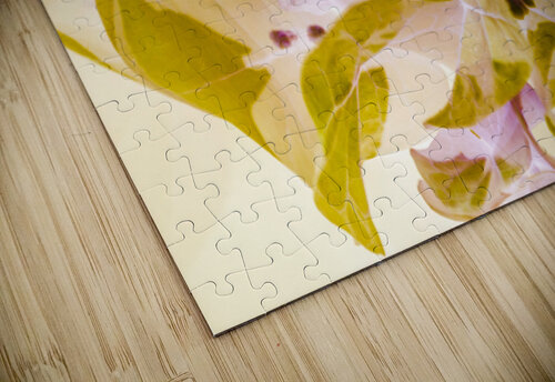 Pastel inverse Jorgo puzzle