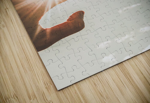 Near death experiences Jorgo puzzle