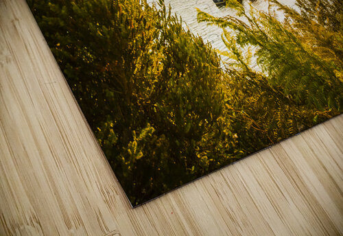 Harbouring a colourful vista Jorgo puzzle