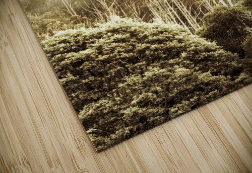 Rustic Tasmanian rural forest Jorgo puzzle