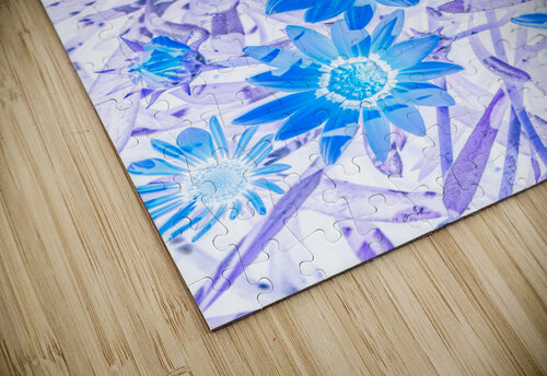 Gazania blue Jorgo puzzle