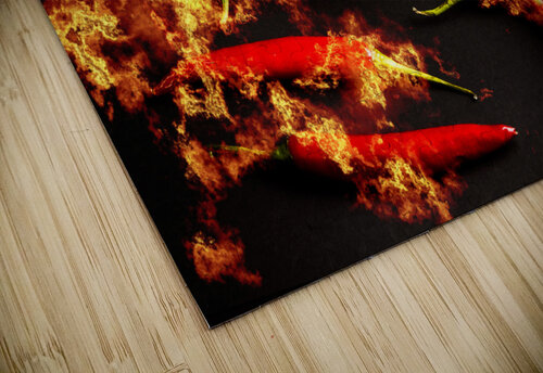 The catch of the day Jorgo puzzle