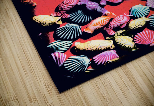 Shell n tropic Jorgo puzzle