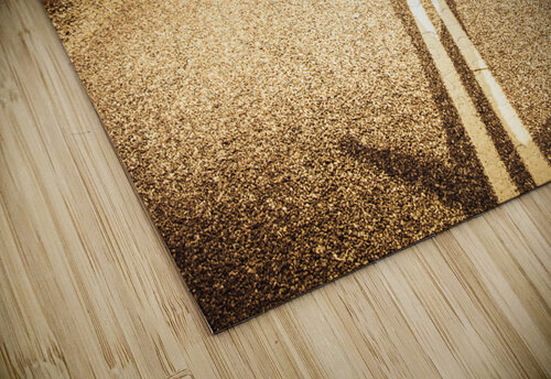 Facing fears while taking chances Jorgo puzzle