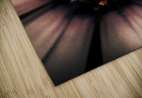 Spring Darkness Jorgo puzzle