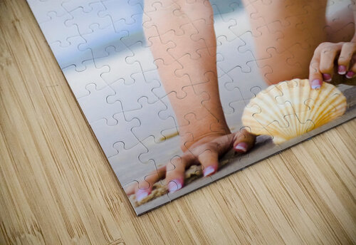 Shell Search Discovery Jorgo puzzle