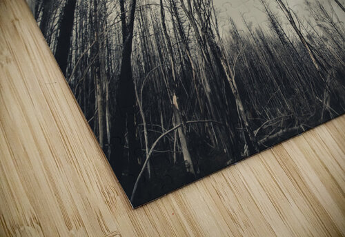 Haunting wood Jorgo puzzle