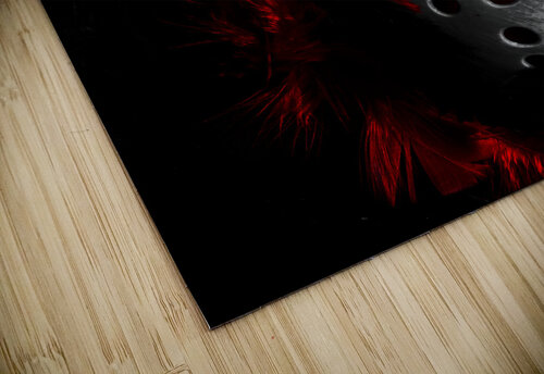 Black Friday the 13th  Jorgo puzzle