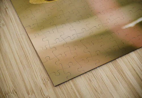 Wooded dragonfly Jorgo puzzle