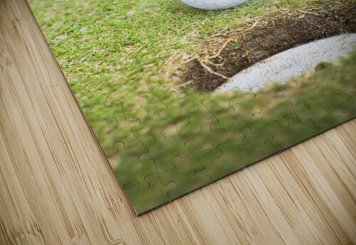 Wacky Golf Jorgo puzzle