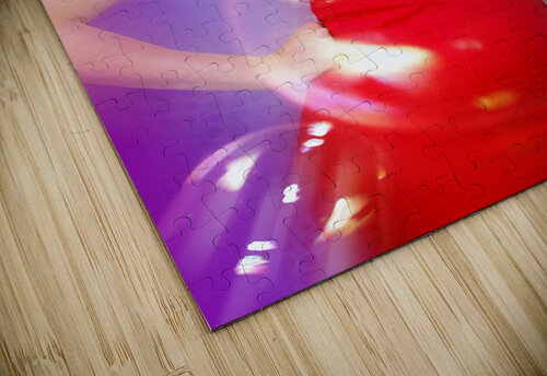 Beautiful pin-up girl at retro disco dance party Jorgo puzzle