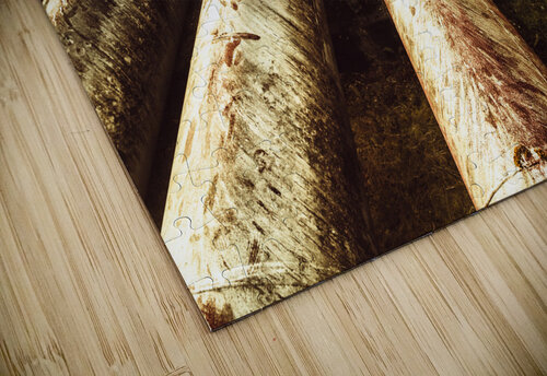 Industrial hydro architecture Jorgo puzzle