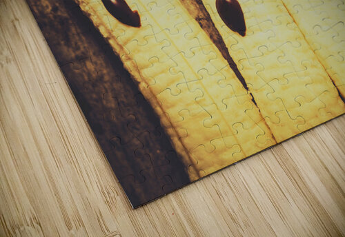 Halloween healthy treats Jorgo puzzle