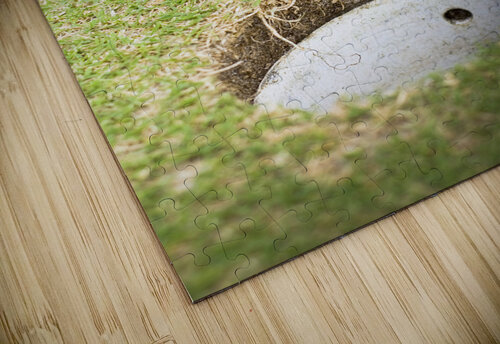 Golf Love At First Flight Jorgo puzzle