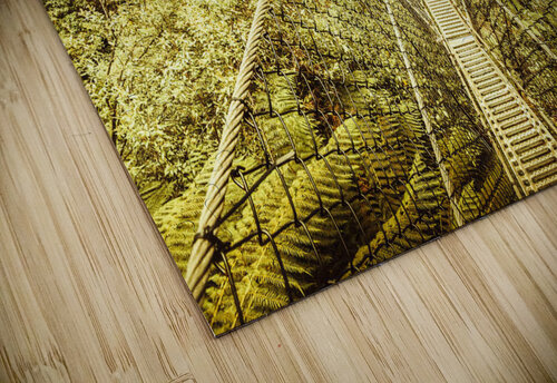 Adventure high Jorgo puzzle