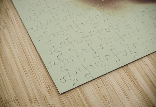 The spirit within Jorgo puzzle