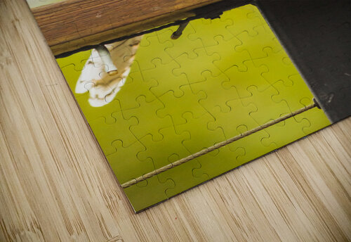 Australian Kookaburra Jorgo puzzle