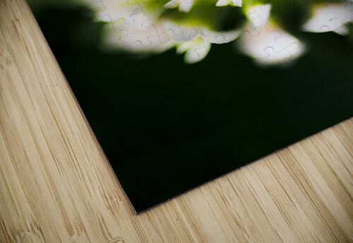 Blooming Flora Jorgo puzzle