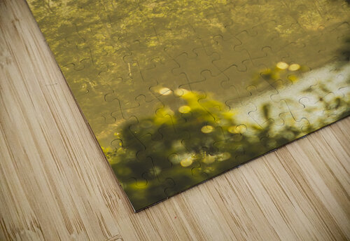 River Vista views Jorgo puzzle