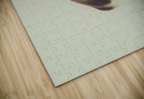 The mind manifesto Jorgo puzzle