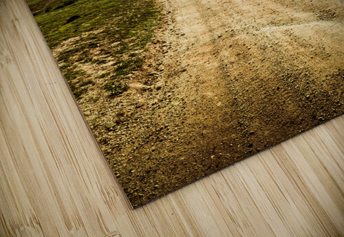 Farmland lane Jorgo puzzle