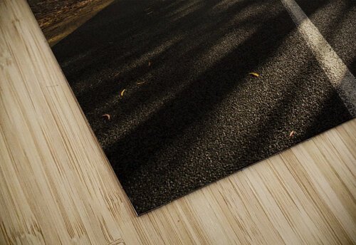 Forestry road landscape Jorgo puzzle