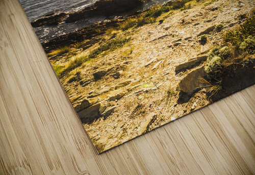 Arthur River Tasmania Jorgo puzzle