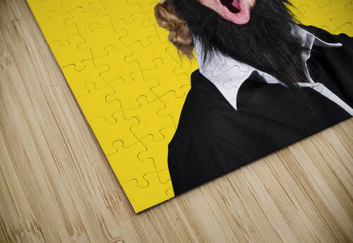 Order order Jorgo puzzle