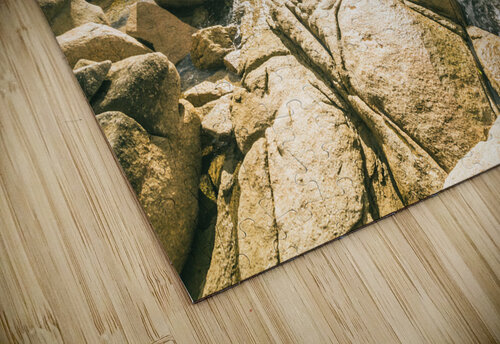 Peaceful sun flared Australian coastline Jorgo puzzle