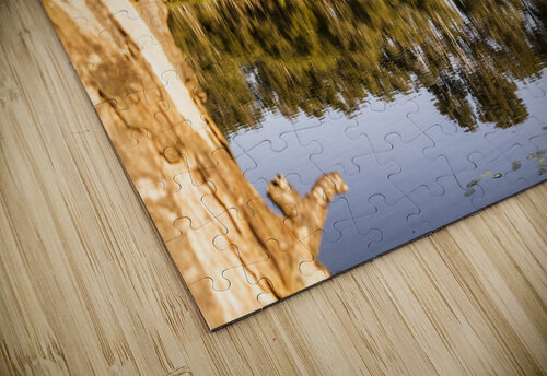 Lake wonders Jorgo puzzle