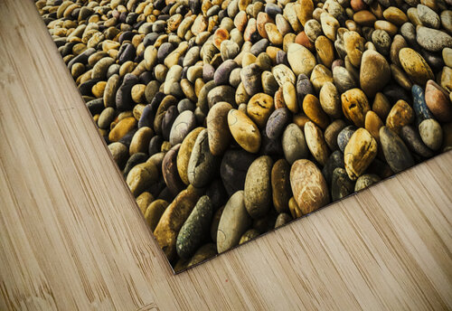 Australian rocky shoreline Jorgo puzzle