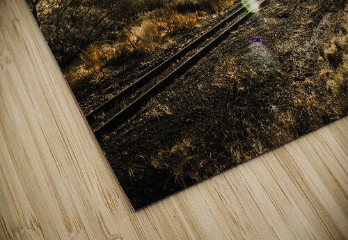 Sun flared railway track Jorgo puzzle