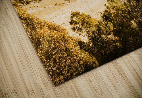 Fields of Jericho Jorgo puzzle