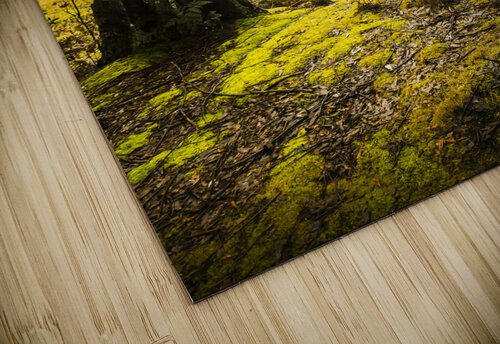 Bright and colourful forest Jorgo puzzle