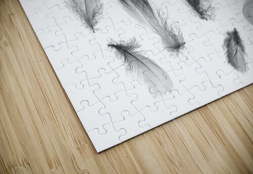 Airy convergence Jorgo puzzle