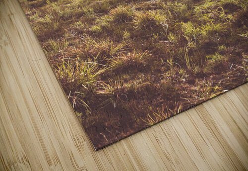 Afternoon pastures  Jorgo puzzle