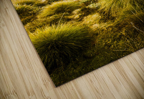 Snowy Tasmania mountain top Jorgo puzzle