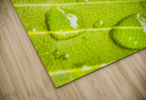 Summer rain Jorgo puzzle