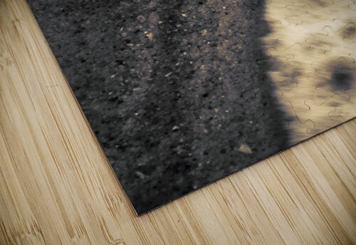 Ocean Rush Jorgo puzzle