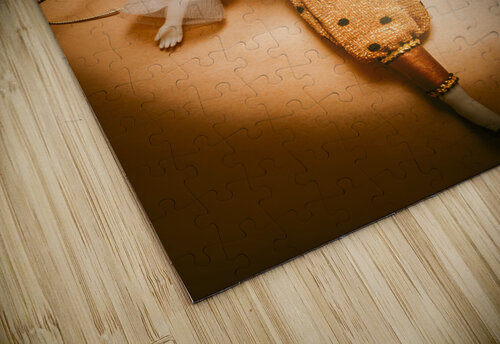 Circus stage spotlight Jorgo puzzle