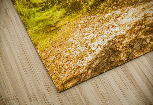 Choose your own adventure Jorgo puzzle