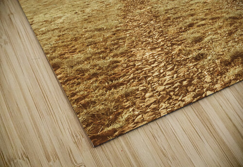 Tasmania farm sunrise Jorgo puzzle